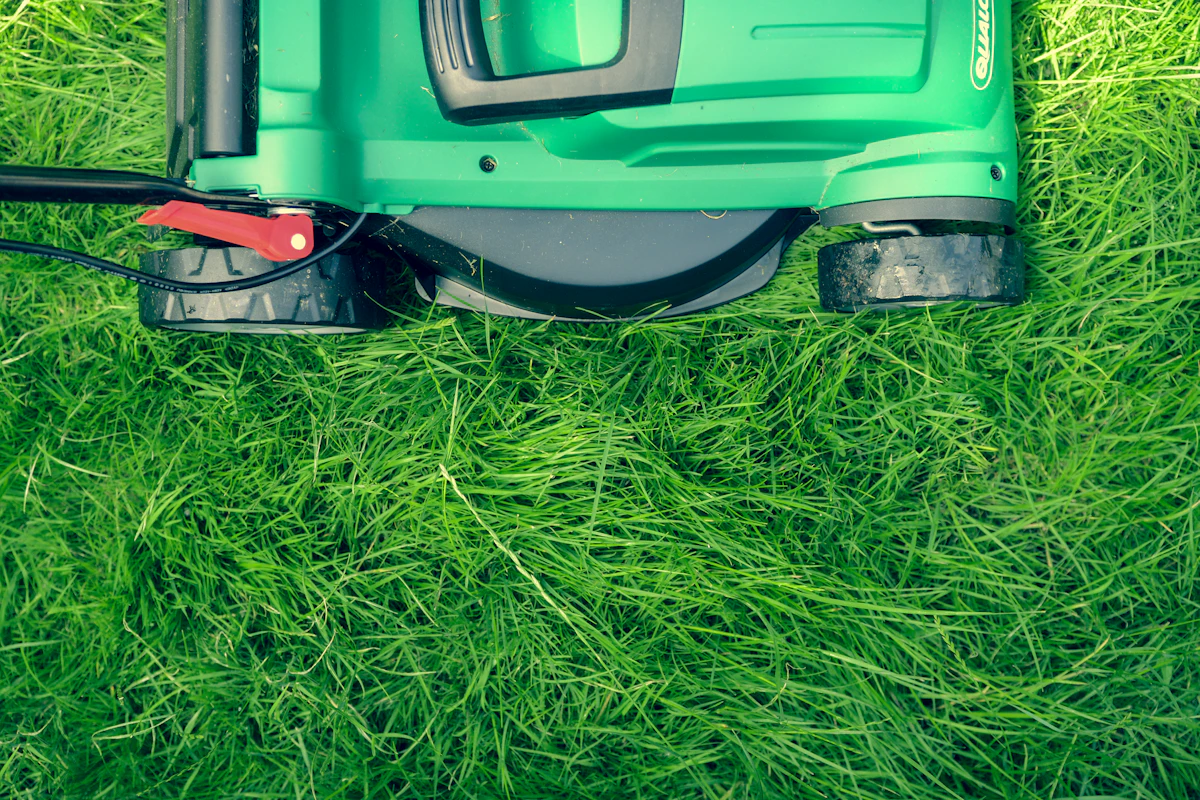 Freshly cut residential lawn with clean mowing lines